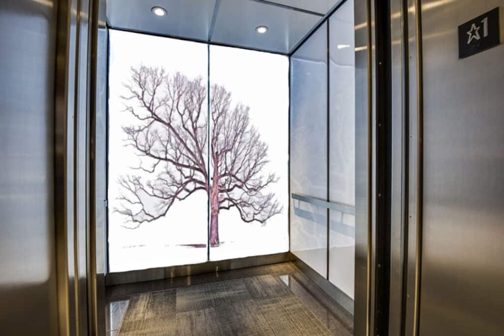 Commercial Applications of Digitally Printed Glass of an Elevator Cab with a large tree