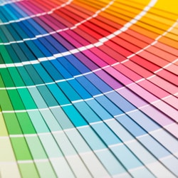 Website Design Colors