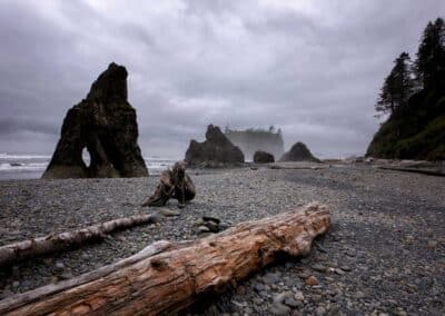 Beach with driftwood and sea stacks