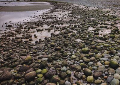 Beach in Port Townsend Olympic National Park