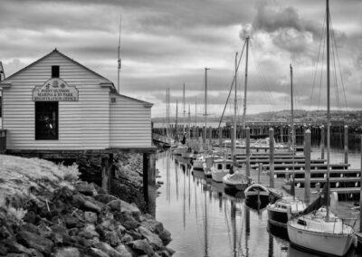 Black and White Image of Sailboats in a harbor