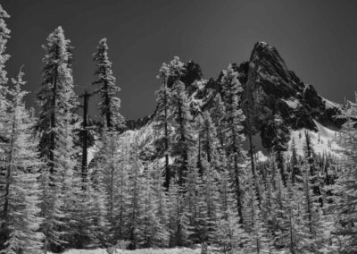 Black and white image of North Cascade National Park